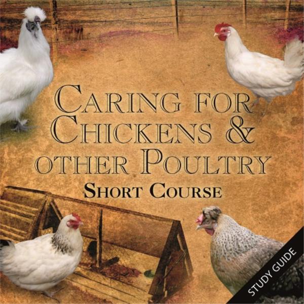 Caring for Chickens and other Poultry Short Course