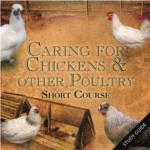 Caring for Chickens and other Poultry - Short Course