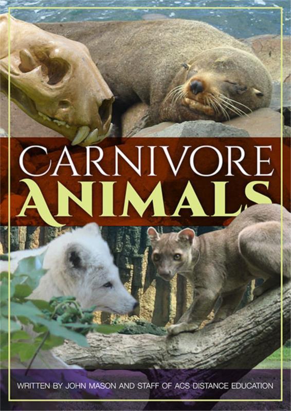 Carnivore Animals - PDF ebook