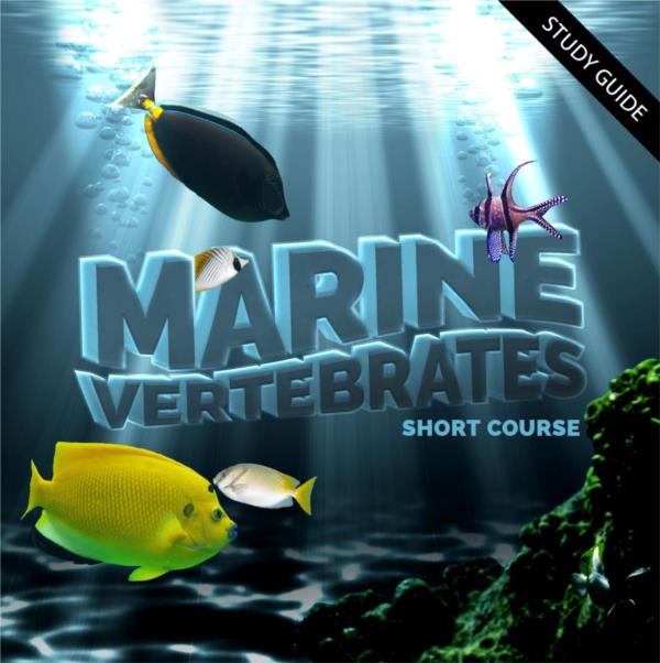 Marine Vertebrates - Short Course