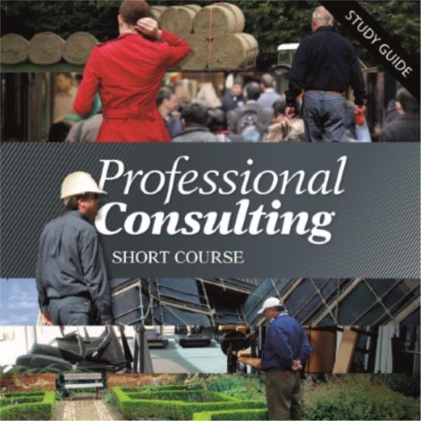 Professional Consulting - Short Course