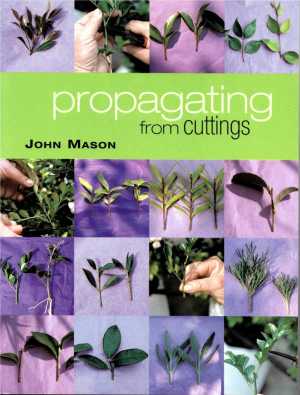 Propagating From Cuttings