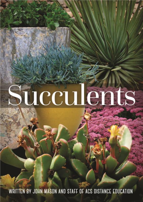 Succulents- PDF ebook