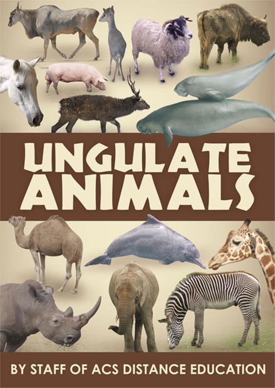 Ungulate Animals - PDF ebook