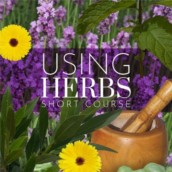 Using Herbs - Short Course