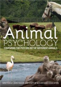 Animal Psychology- PDF ebook