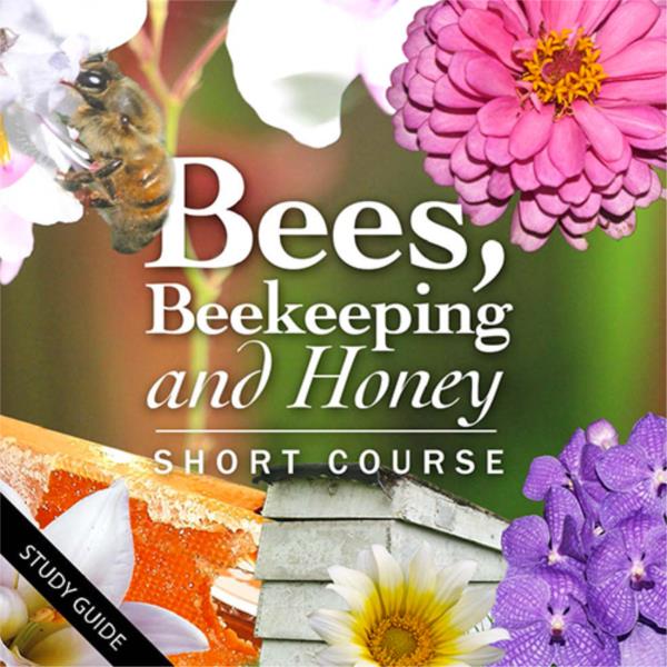 Bees, Beekeeping and Honey- Short Course