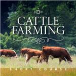 Cattle Farming - Short Course