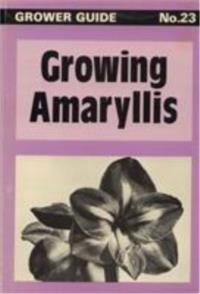 Growing Amaryllis