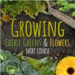 Growing Edible Greens and Flowers