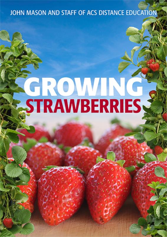 Growing Strawberries- PDF ebook