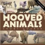 Hooved Animals- Short Course