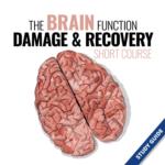 The Brain Function, Damage and Recovery - Short Course