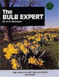 The Bulb Expert