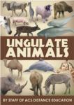 Ungulate Animals - PDF ebook